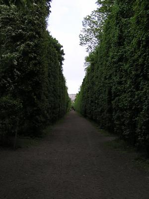 p1010041.jpg